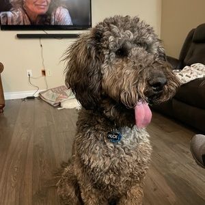 Meet your Posher, Bj